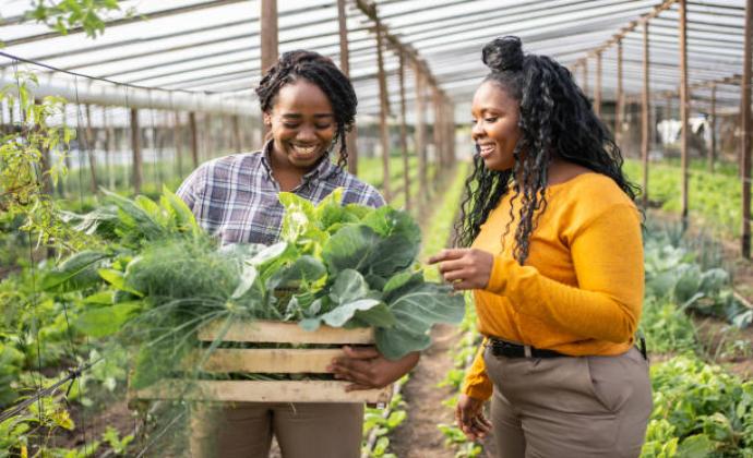 crop investment